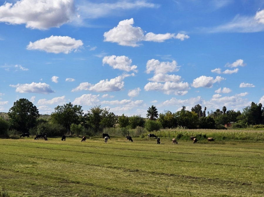 Commercial Property for Sale in Upington Rural Northern Cape